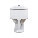 One piece ceramic Sanitary ware Siphonic S trap 300mm soft closing High pressure flush mechanism